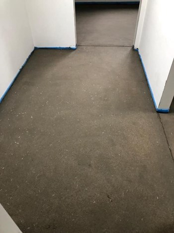 59295503_2956193297854707_4568852391188758528_n