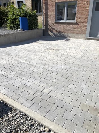 64296818_2995755237231846_1980252791318249472_n