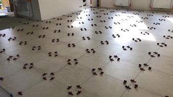 73349279_3106751926132176_2188237974196453376_n